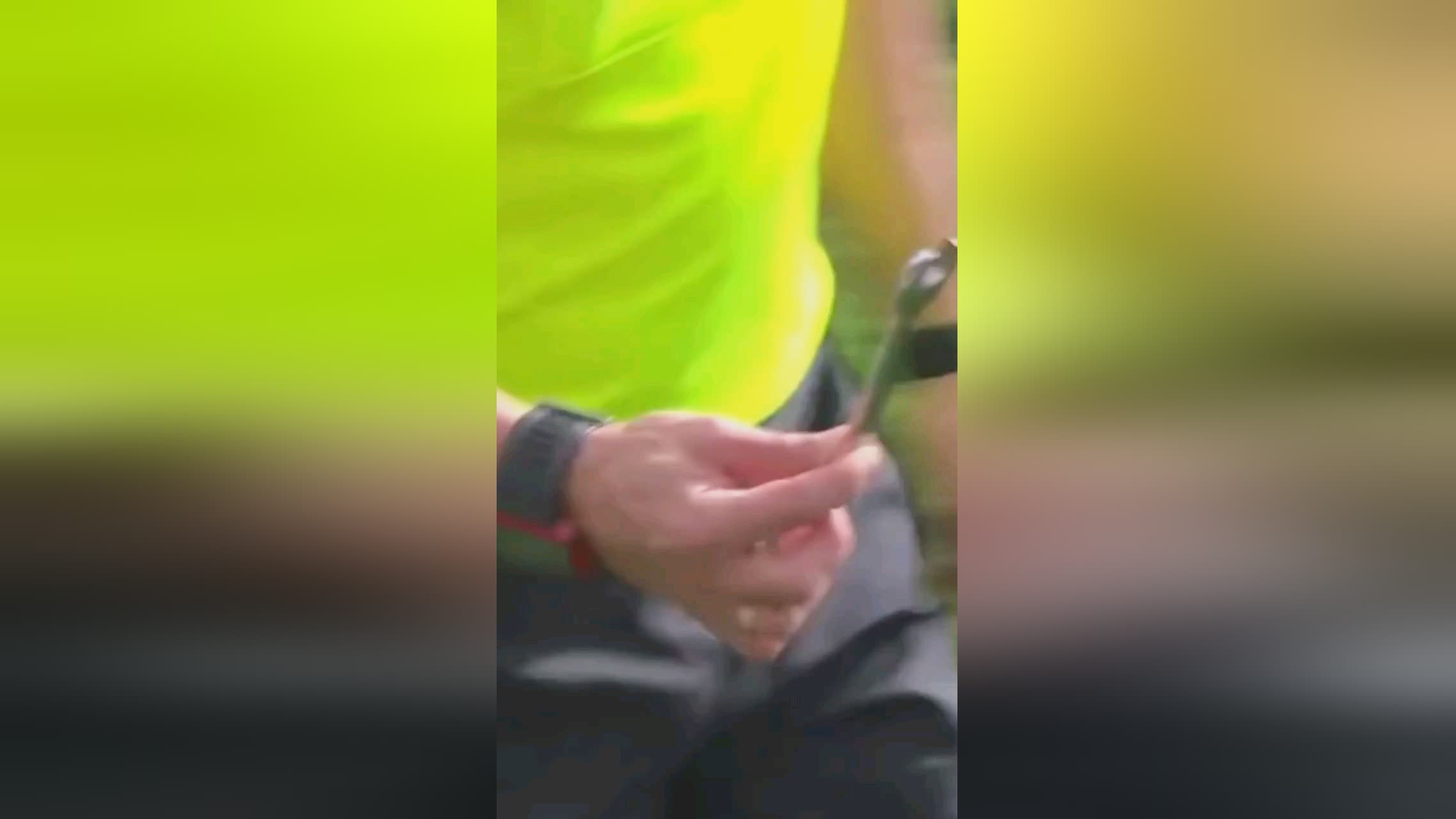 团队